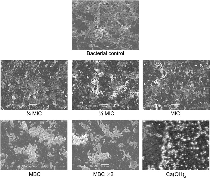 Figure 6