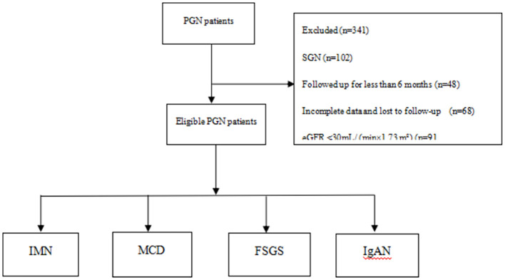 Figure 1