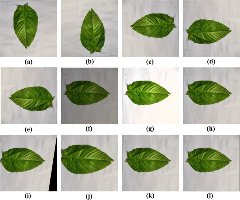 Figure 1