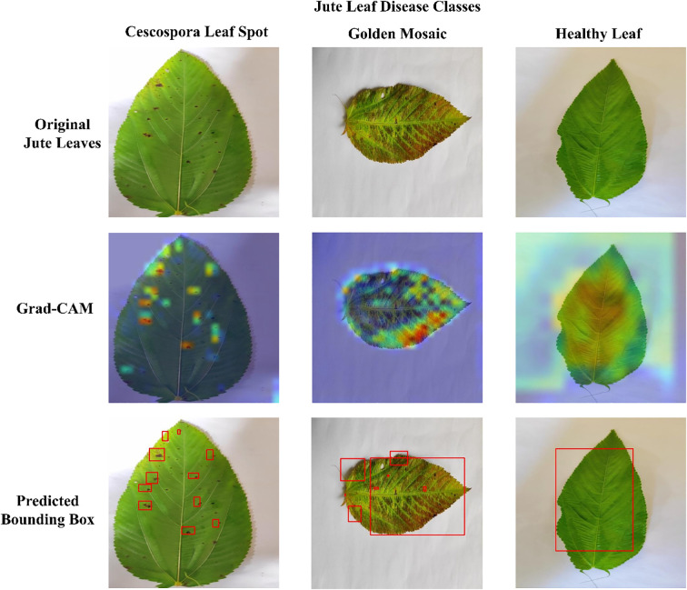 Figure 12