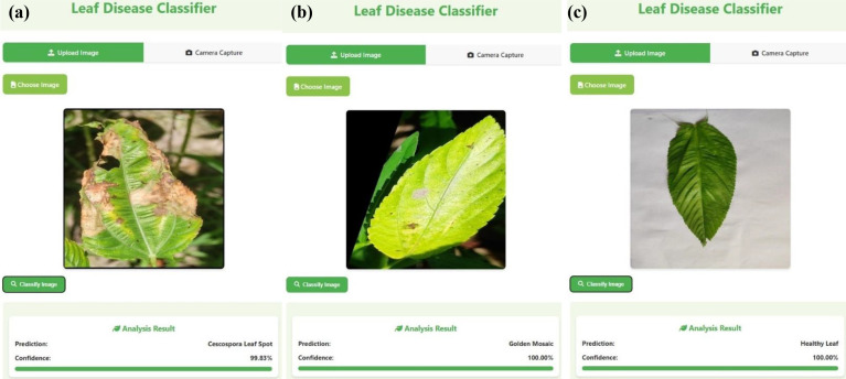 Figure 14