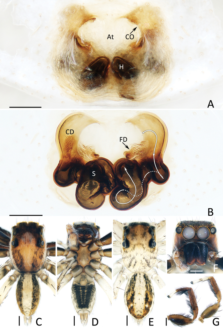 Figure 6