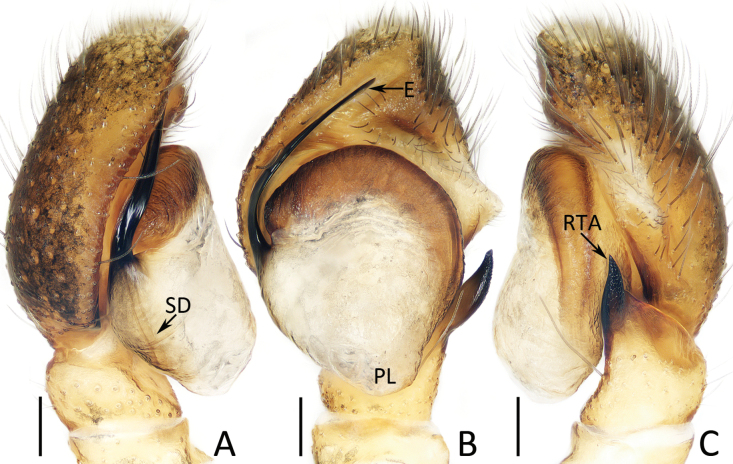 Figure 11