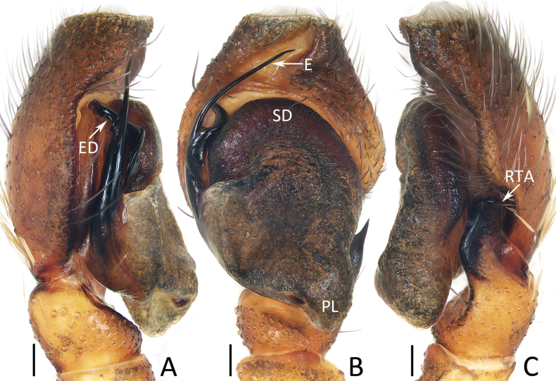 Figure 13