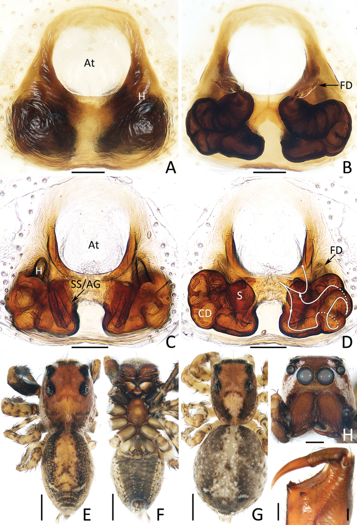 Figure 14