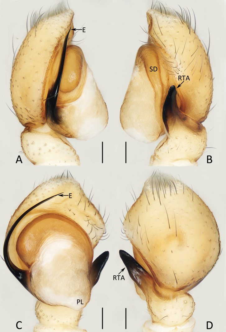 Figure 15