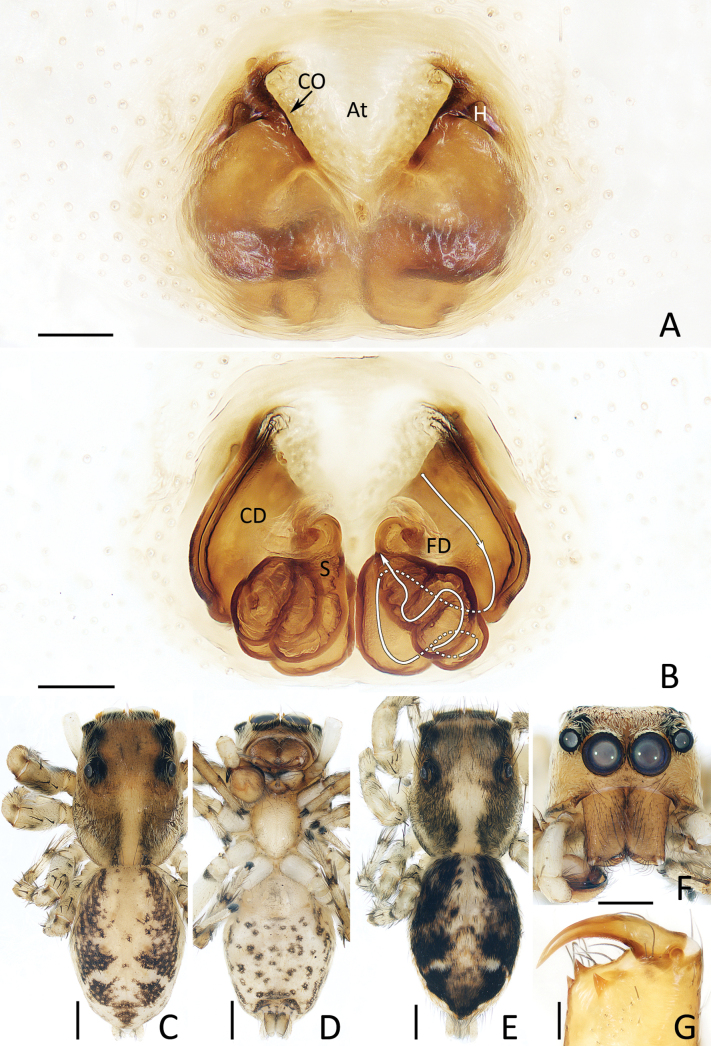 Figure 16