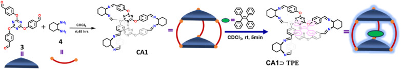 Scheme 1