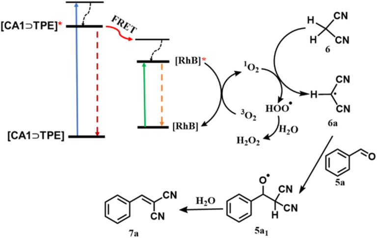Scheme 2