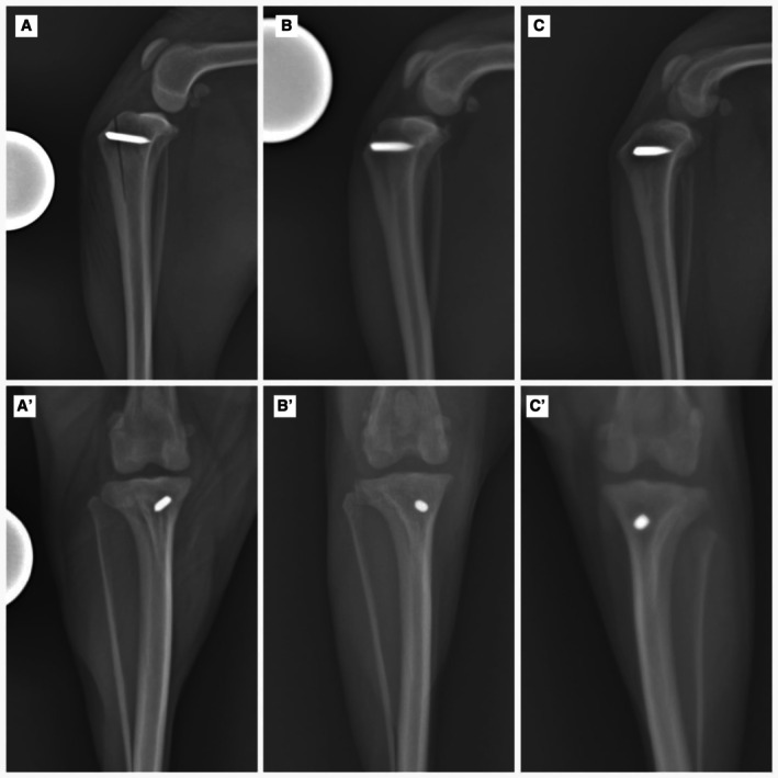 FIG 6