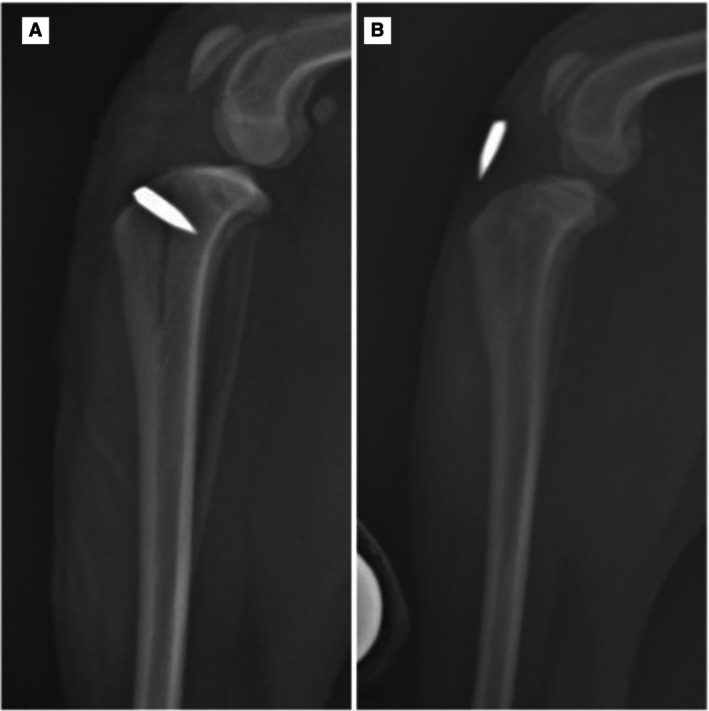 FIG 7