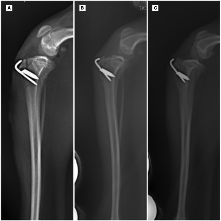 FIG 5