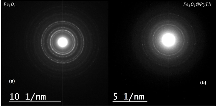 Fig. 20