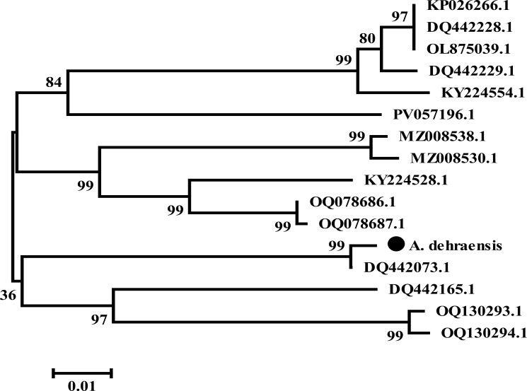 Figure 6