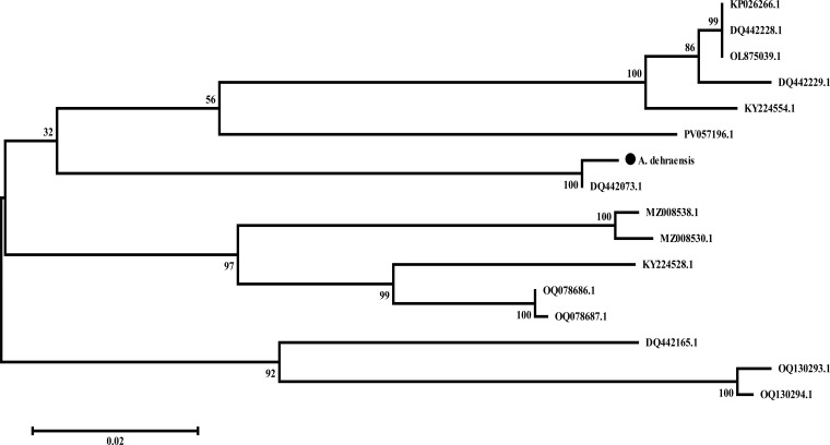 Figure 7