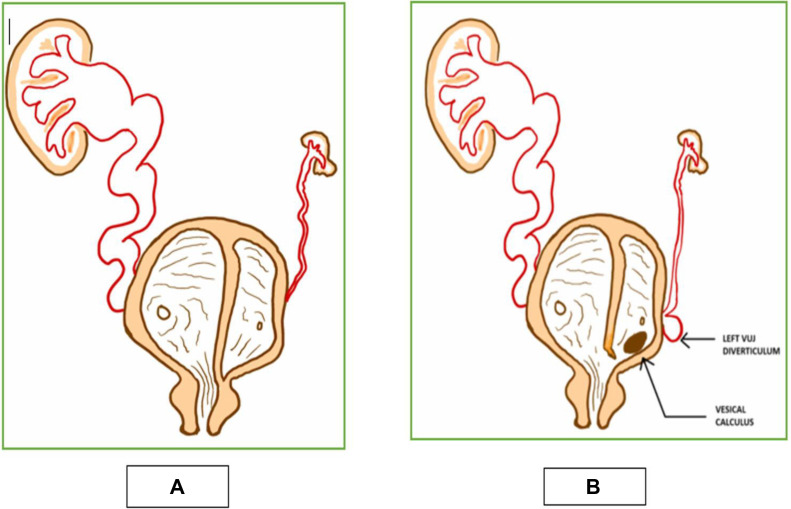 Figure 8