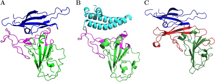 Figure 2