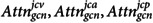 Figure 41