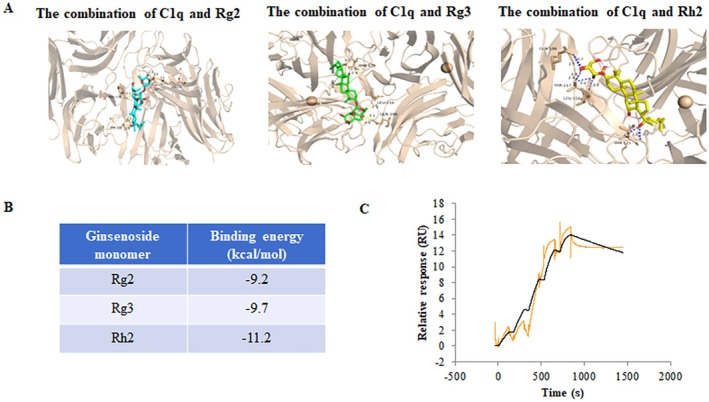 Figure 12