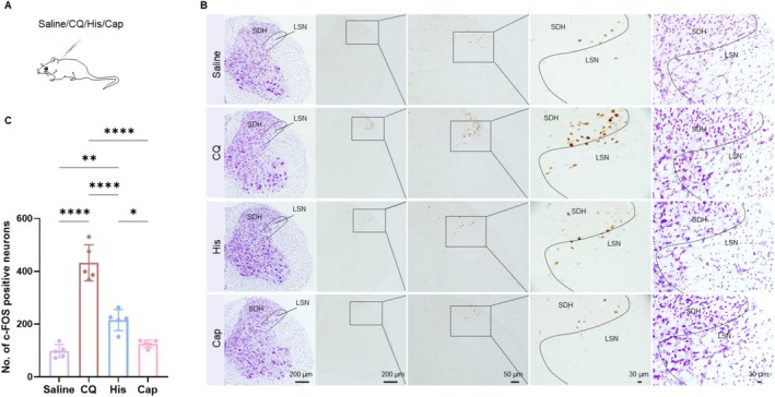 Figure 6