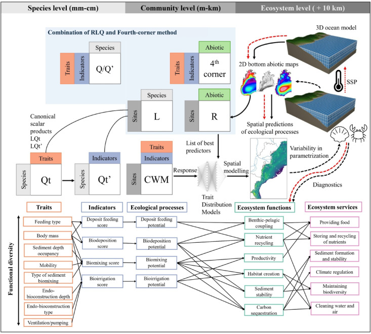 Figure 13
