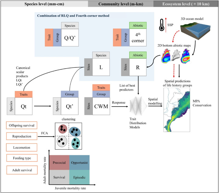 Figure 14