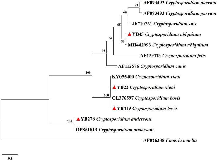 Figure 2