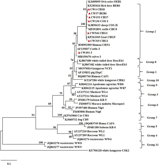 Figure 4