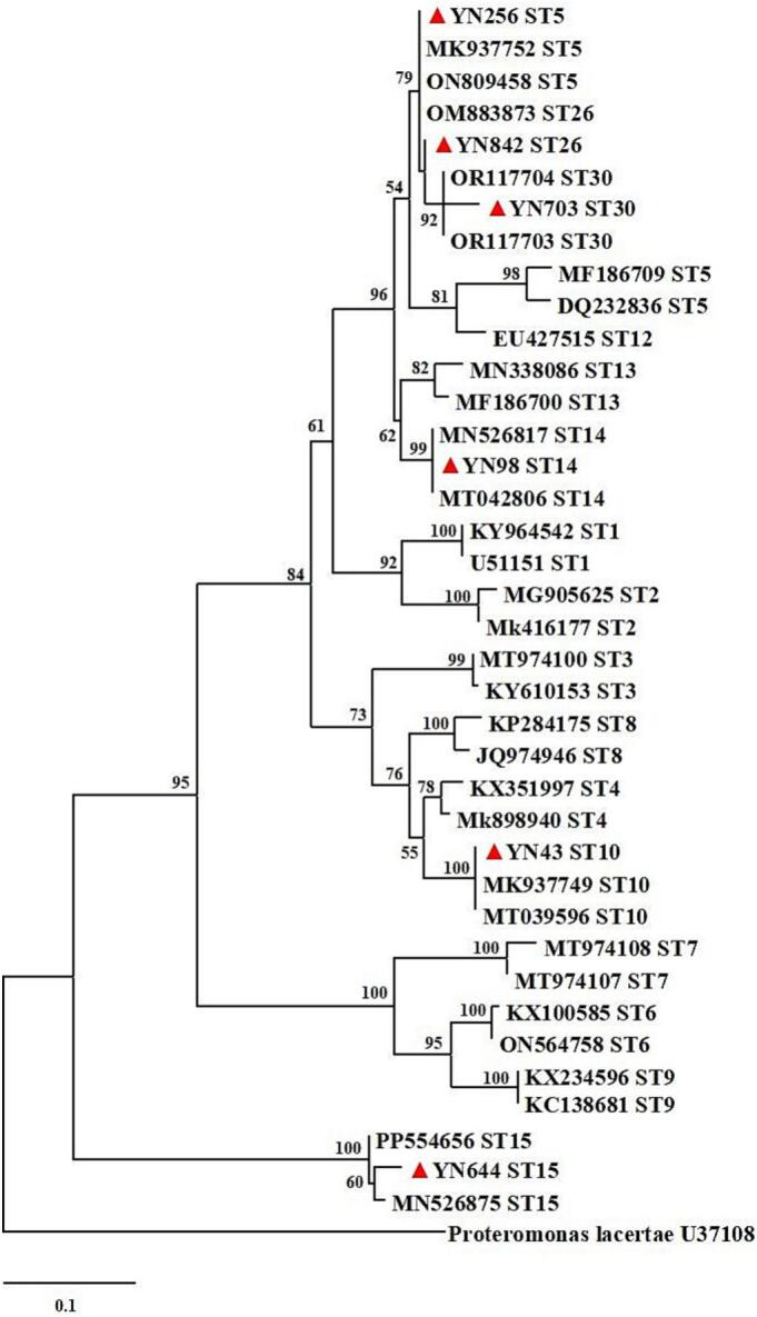 Figure 5