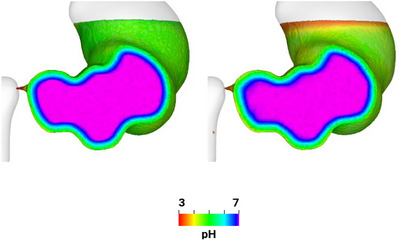 Figure 18