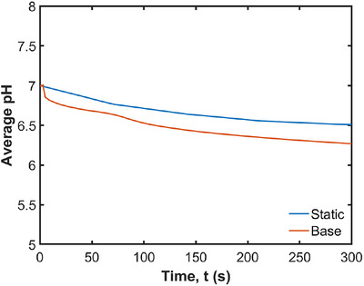 Figure 20
