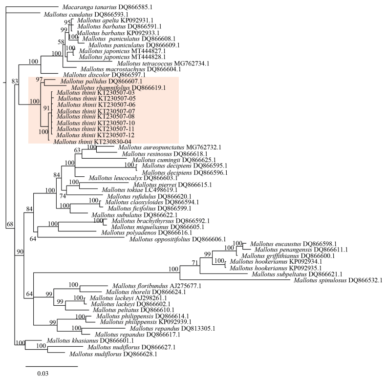 Figure 5