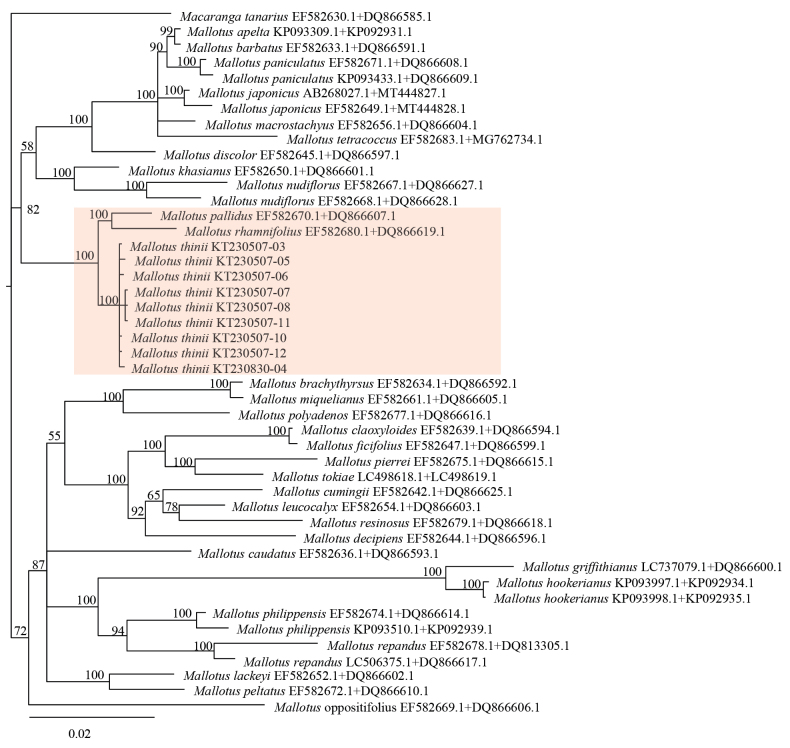 Figure 6