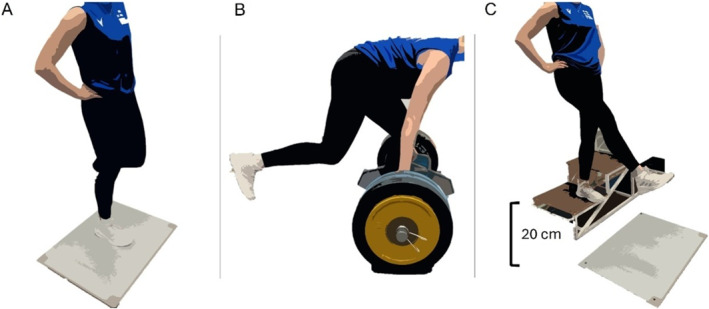 FIGURE 1