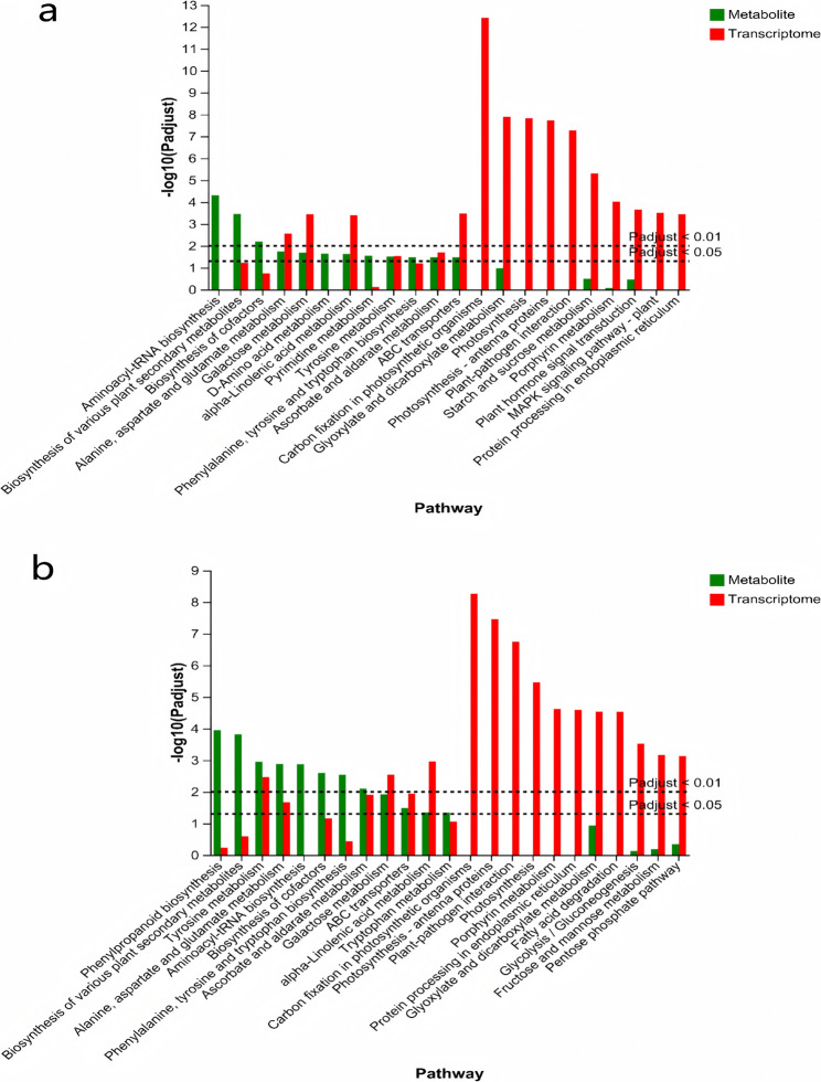 Figure 12