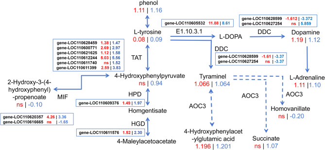 Figure 13