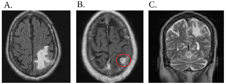 Figure 7