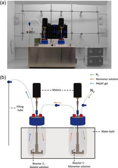 FIGURE 2