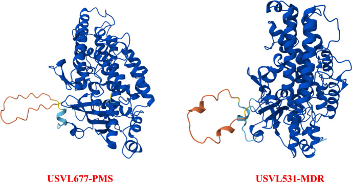 Figure 6