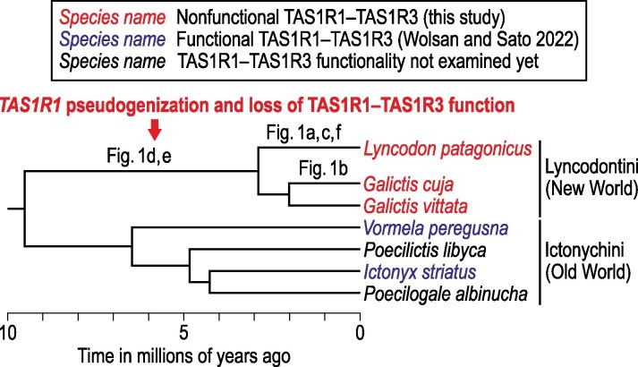 Fig. 2