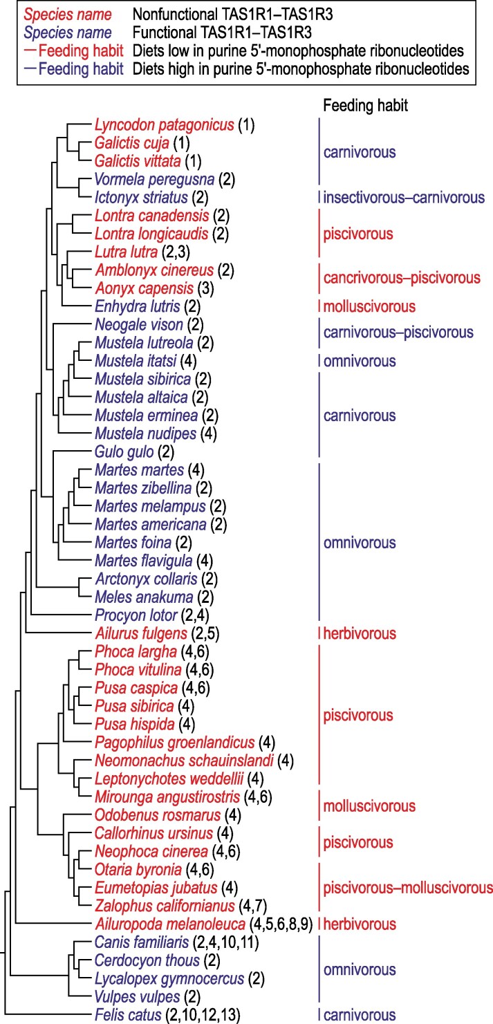 Fig. 3