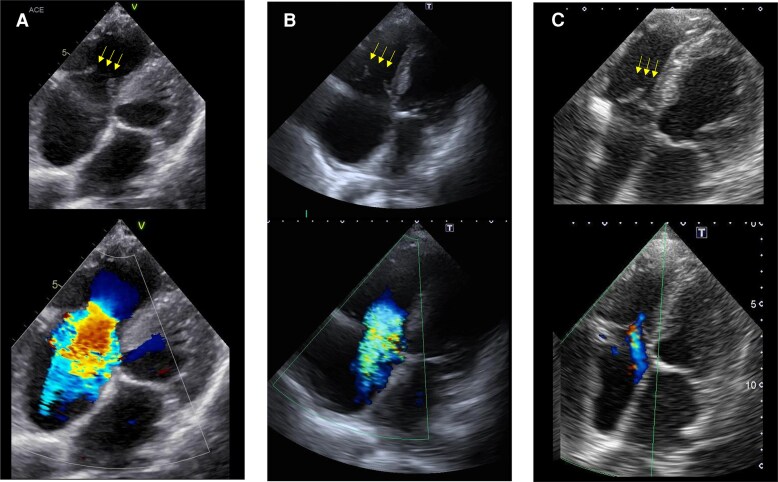 Figure 3