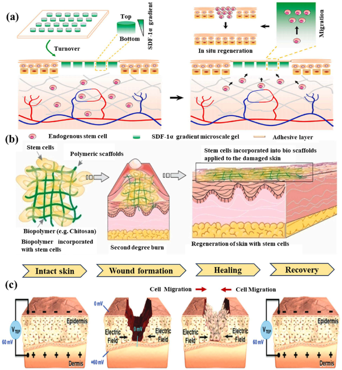 Figure 18