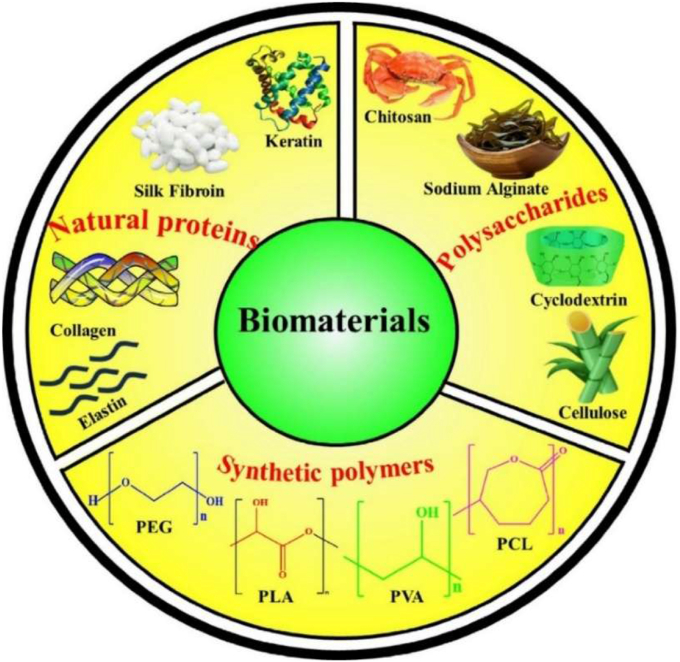 Figure 24
