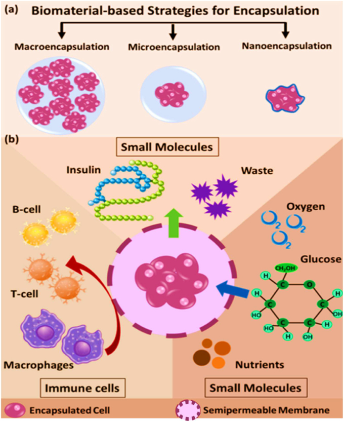 Figure 25