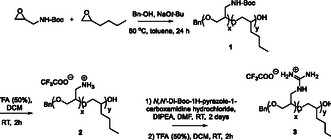 Scheme 1