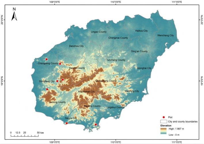 FIGURE 3