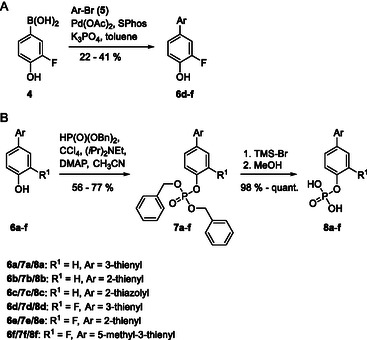 Scheme 1