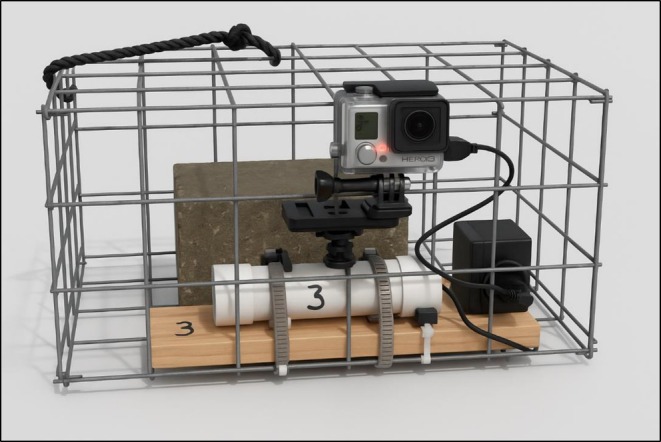 FIGURE 2