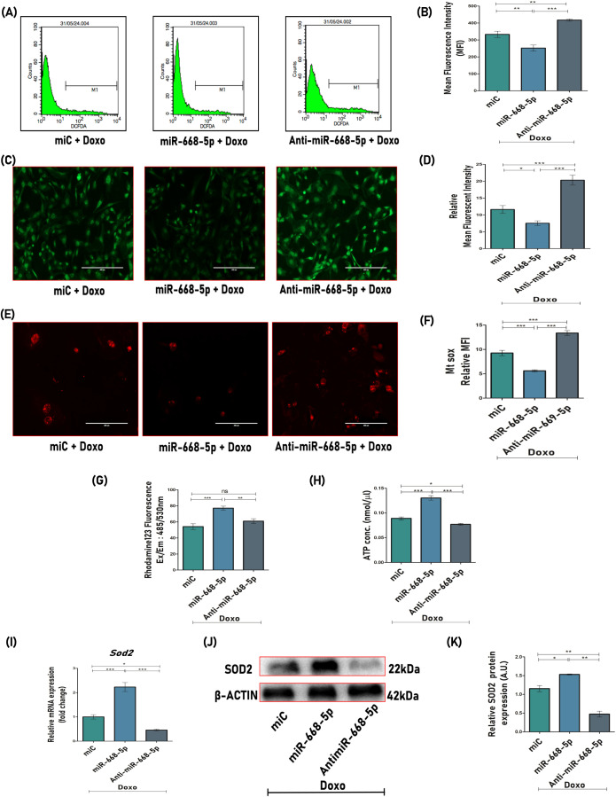 Figure 4